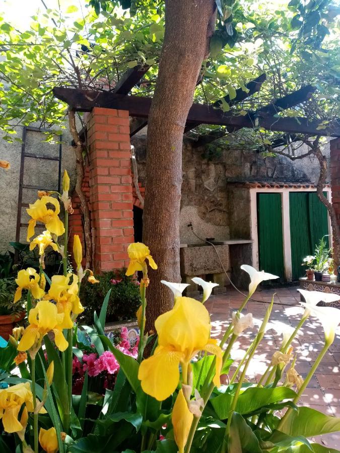 Nossa Casa Na Aldeia Appartement Viseu Buitenkant foto